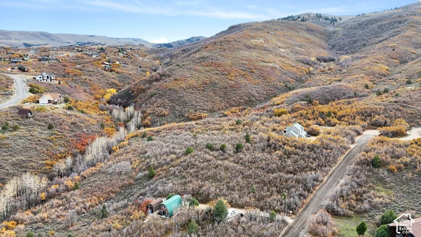 Aerial perspective of mountainous terrain featuring native scrub oak, scattered evergreen trees, winding gravel access roads, and natural slope topography