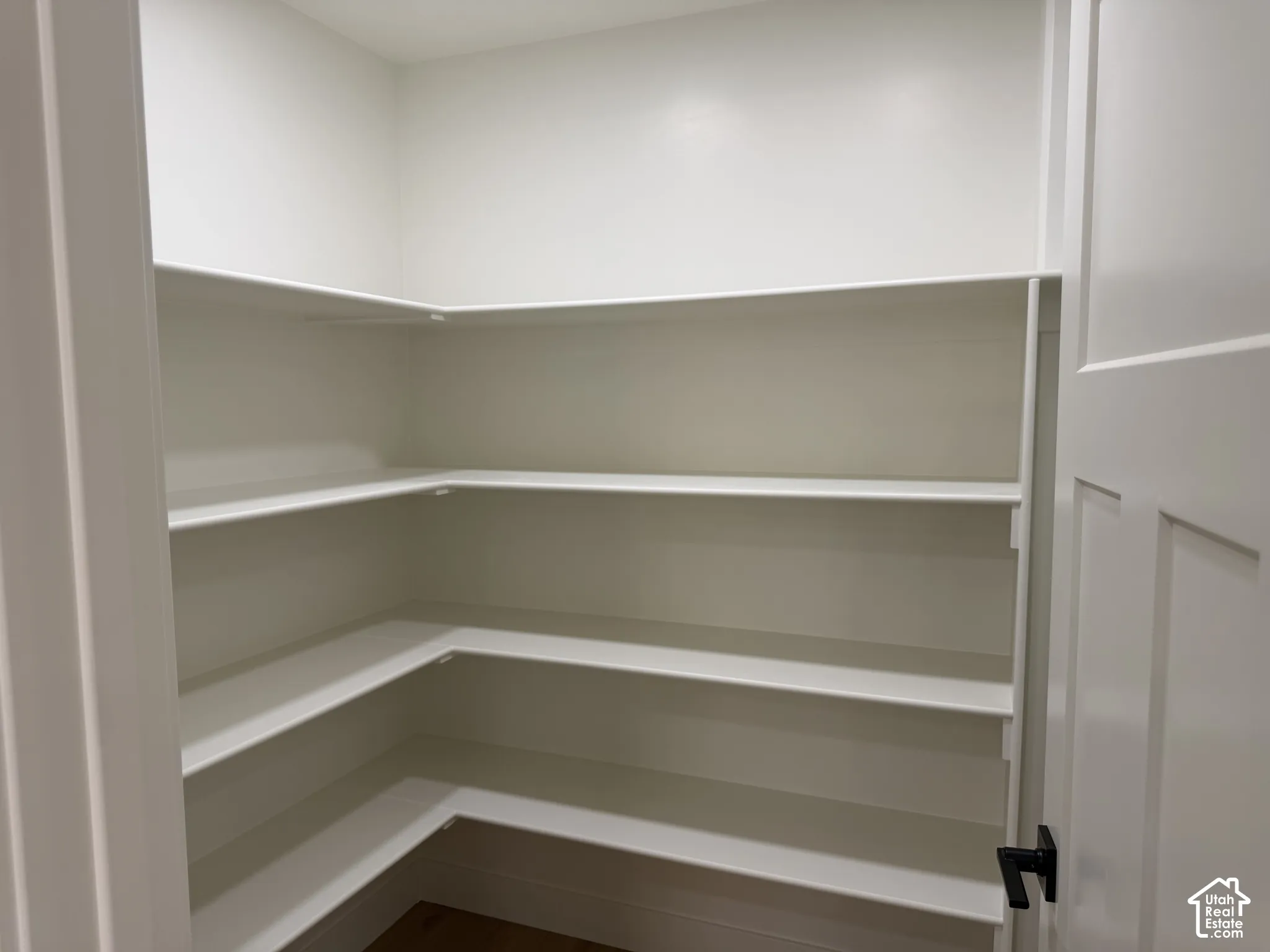 Walk-in pantry featuring white wrap-around shelving and a paneled door with matte black hardware