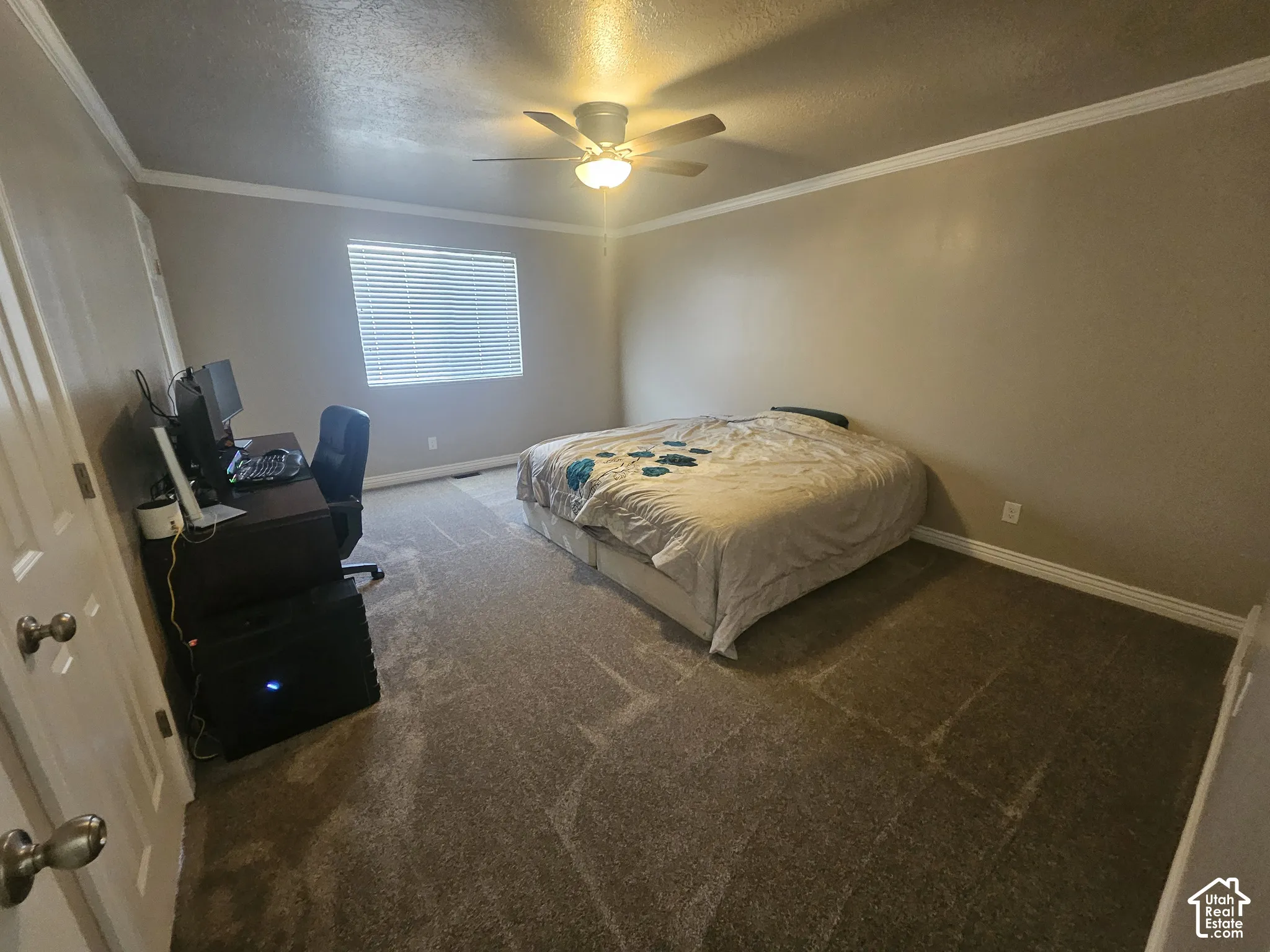 Room featuring neutral wall tones, carpeted flooring, crown molding, and a central ceiling fan with integrated lighting