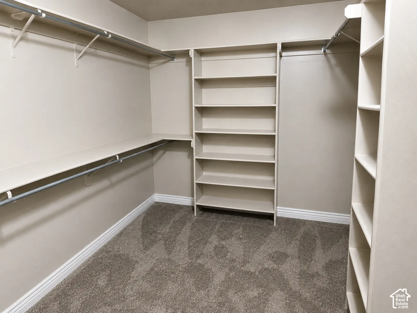 Walk-in closet featuring floor-to-ceiling built-in shelving, multi-level hanging rods, and neutral carpeting