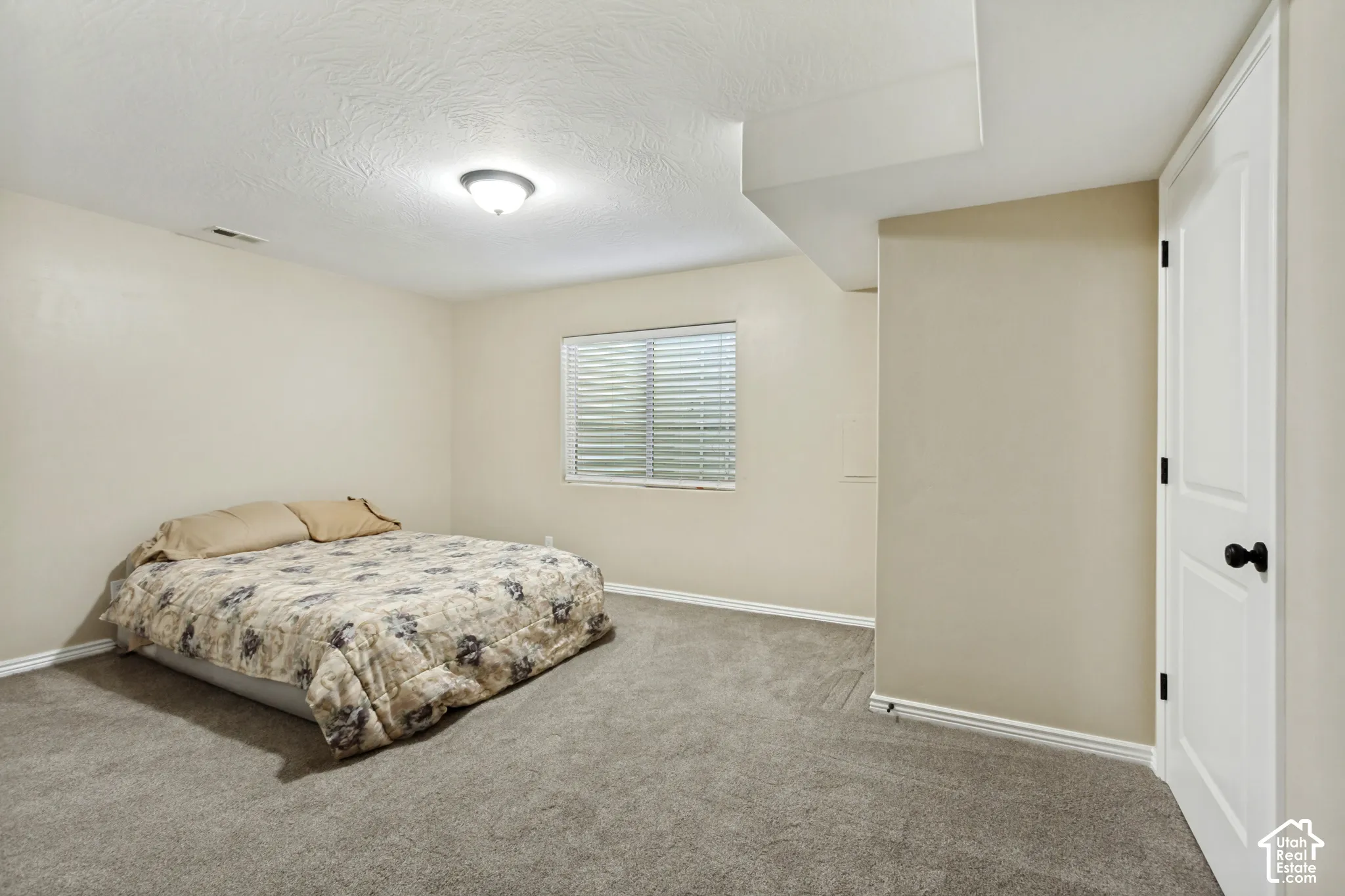 Neutral-toned interior featuring wall-to-wall carpeting, a multi-pane window, and a paneled interior door with matte black hardware