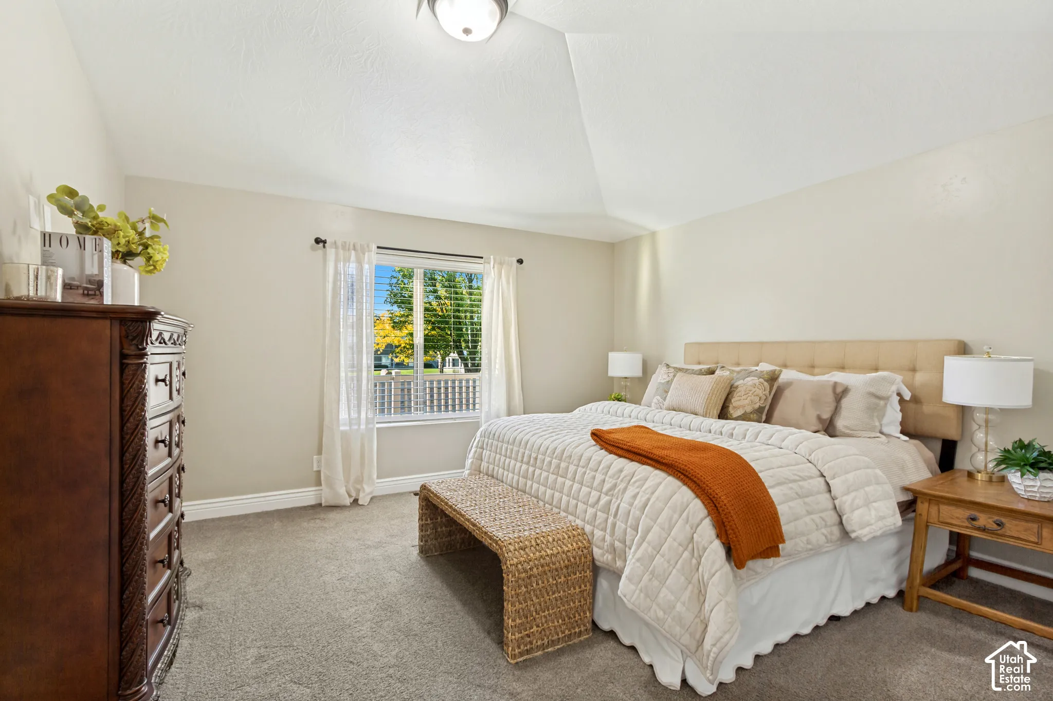Vaulted ceiling, neutral wall tones, carpeted flooring, and a single-hung window
