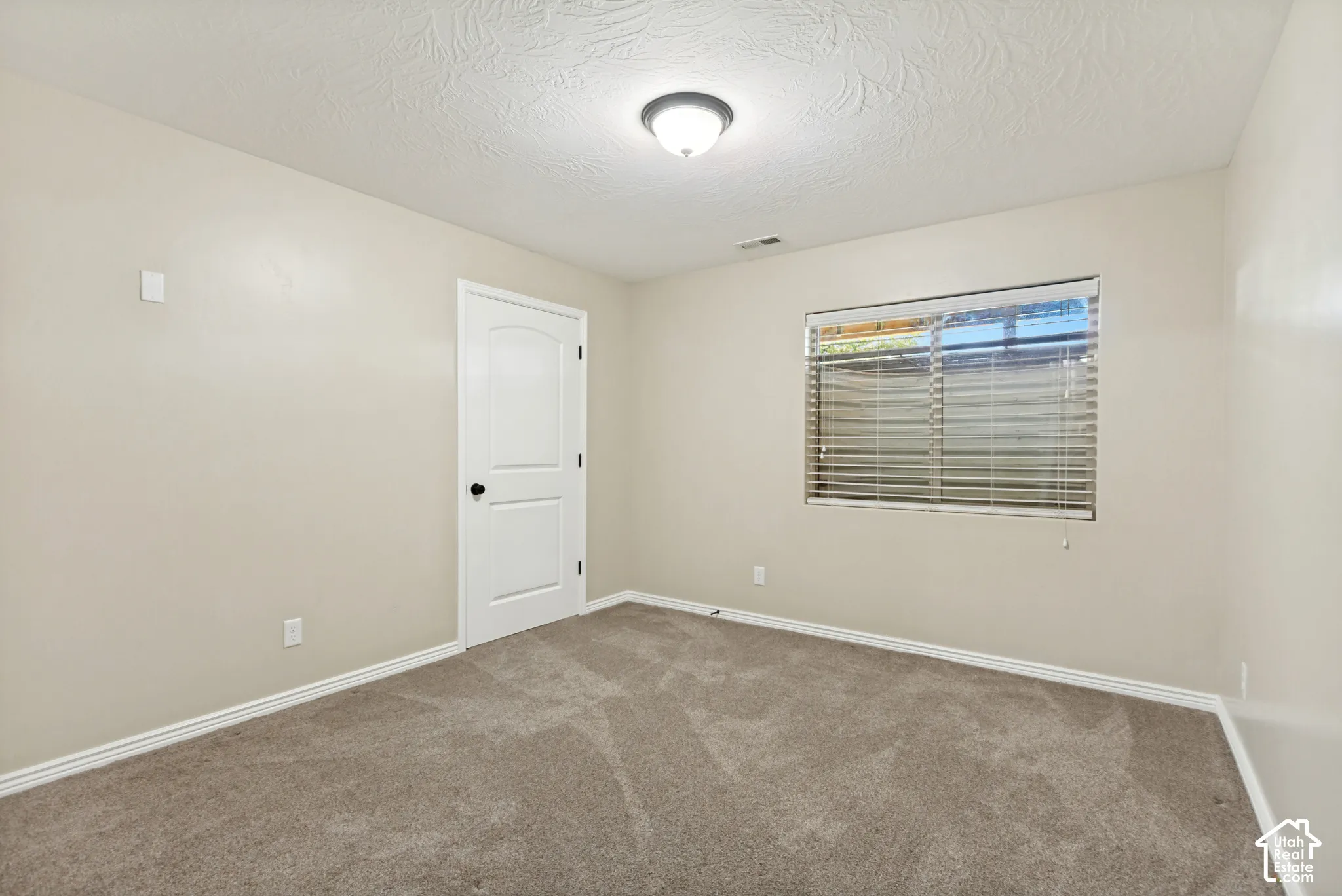 Neutral-toned room featuring neutral carpeting, a dual-panel interior door with matte black hardware, a single-window configuration with horizontal blinds, and a central ceiling-mounted fixture