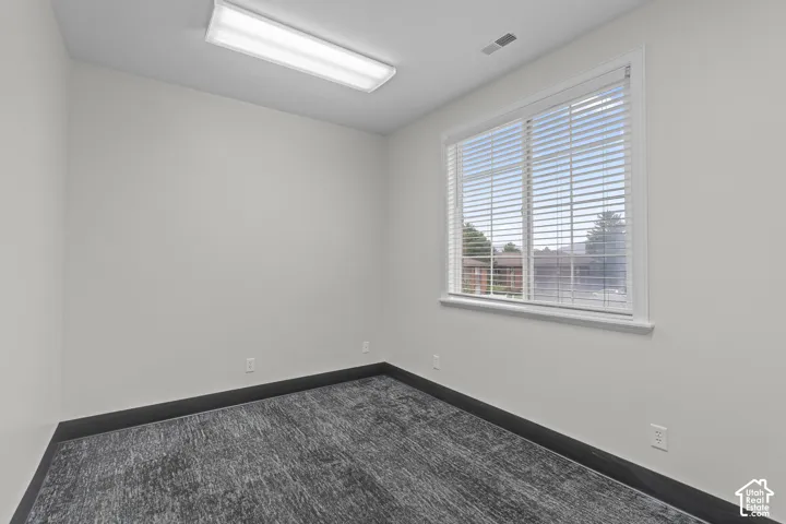 Neutral-toned interior space featuring textured carpeting, a single-pane sliding window with integrated blinds, and a rectangular surface-mounted light fixture