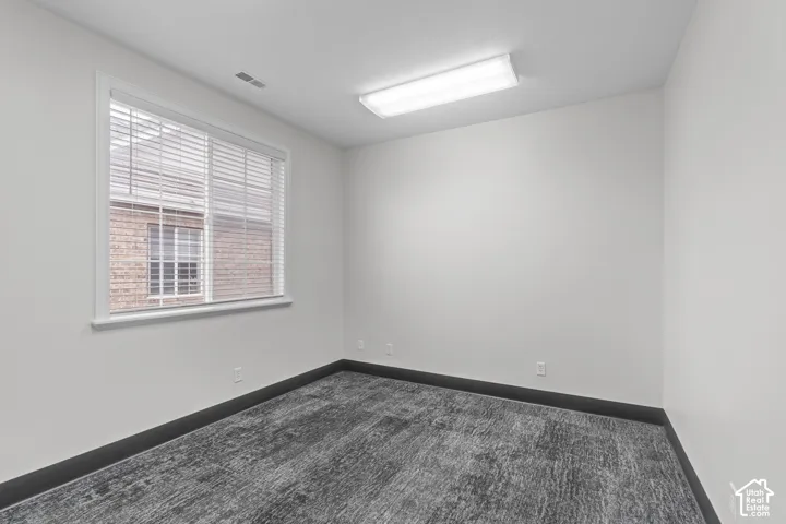 Interior space featuring neutral wall paint, dark grey carpeting, a multi-pane window with horizontal blinds, and a rectangular ceiling-mounted light fixture