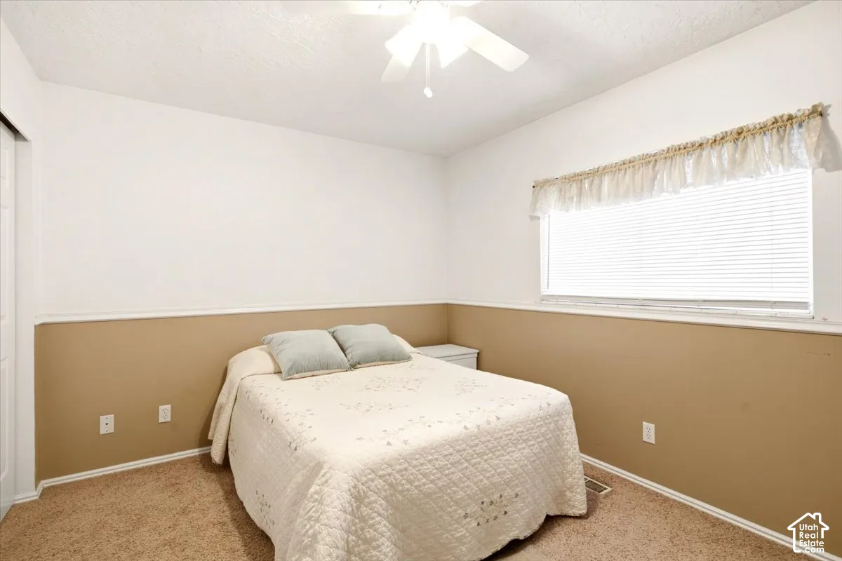 Room featuring neutral wall-to-wall carpeting, two-tone wall paint with a chair rail, a ceiling fan, and window blinds