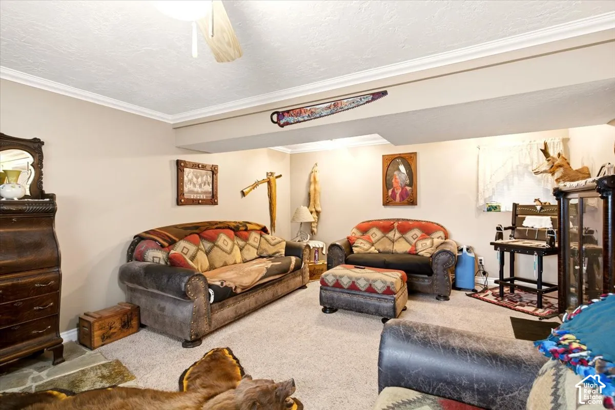 Neutral interior room featuring neutral wall paint, carpeted flooring, a ceiling fan, and crown molding