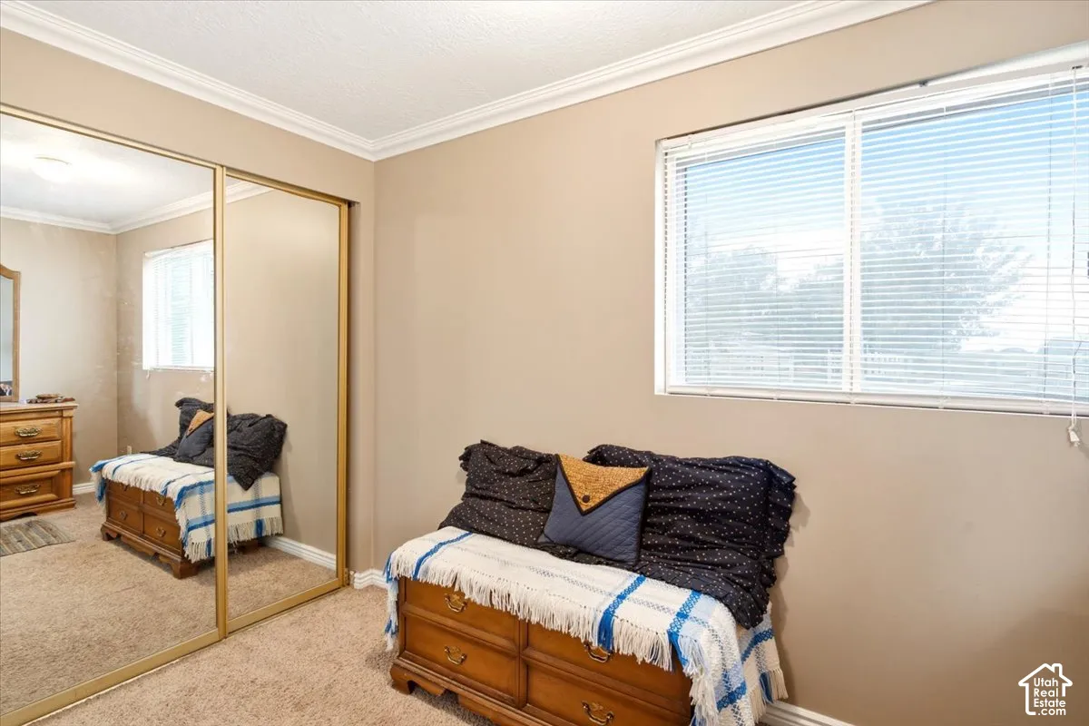 Bedroom featuring carpeted flooring, a horizontal sliding window with blinds, and mirrored sliding closet doors with gold-toned framing