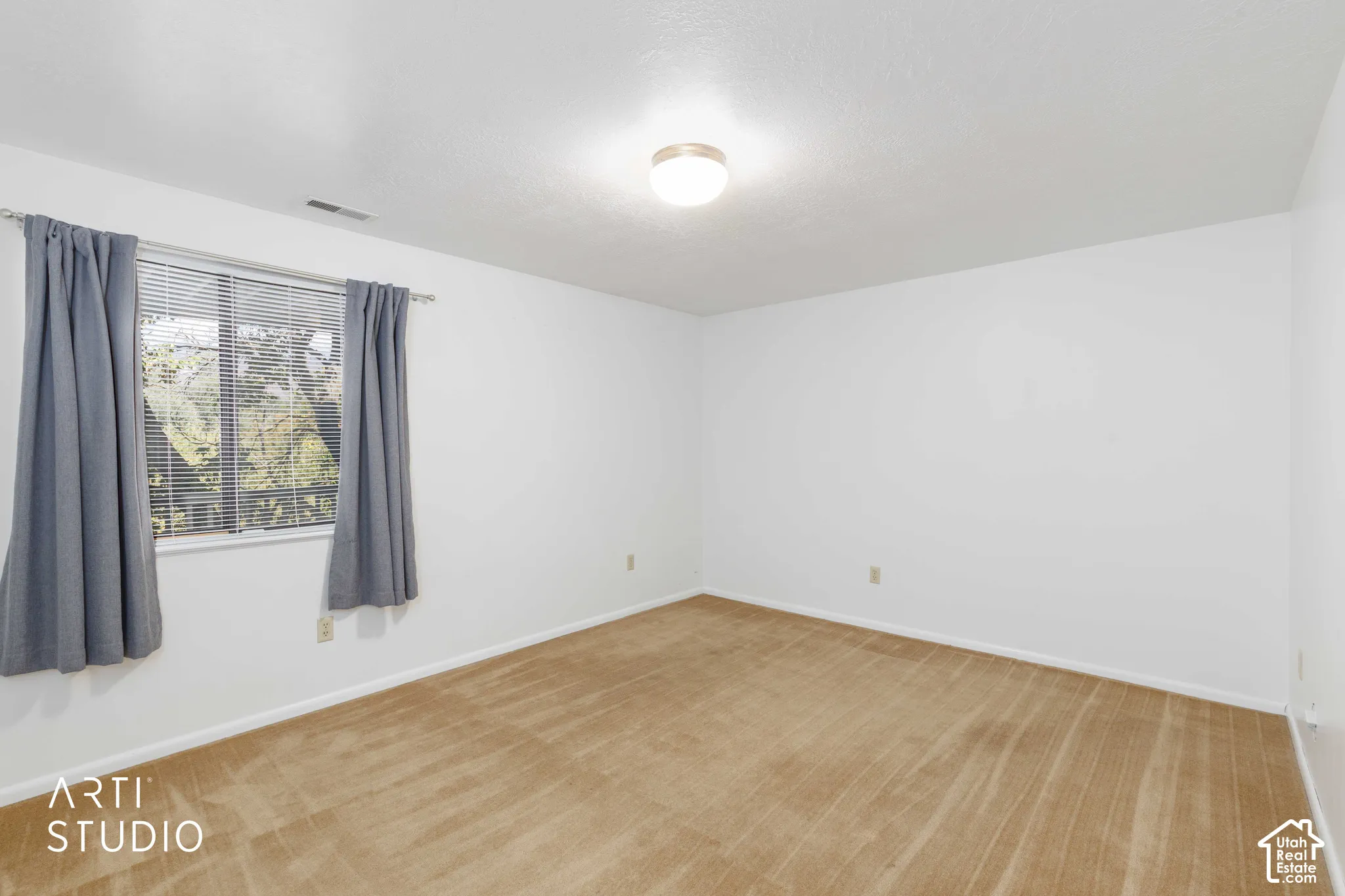 Neutral-toned carpeting, white walls, and a ceiling-mounted light fixture