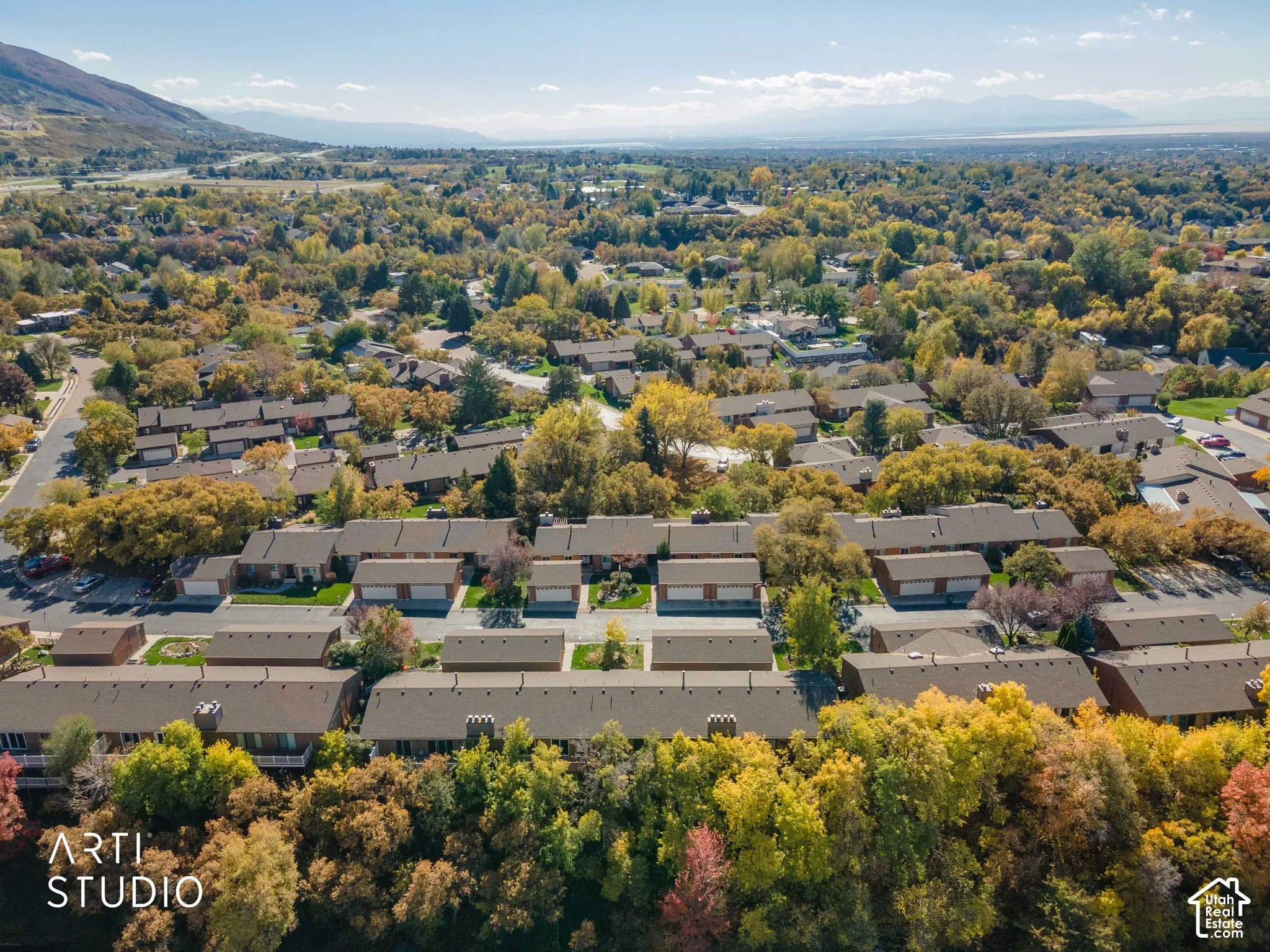 Aerial perspective of residential community featuring multi-unit structures with asphalt shingle roofing, attached garages, established mature trees, and mountain backdrop