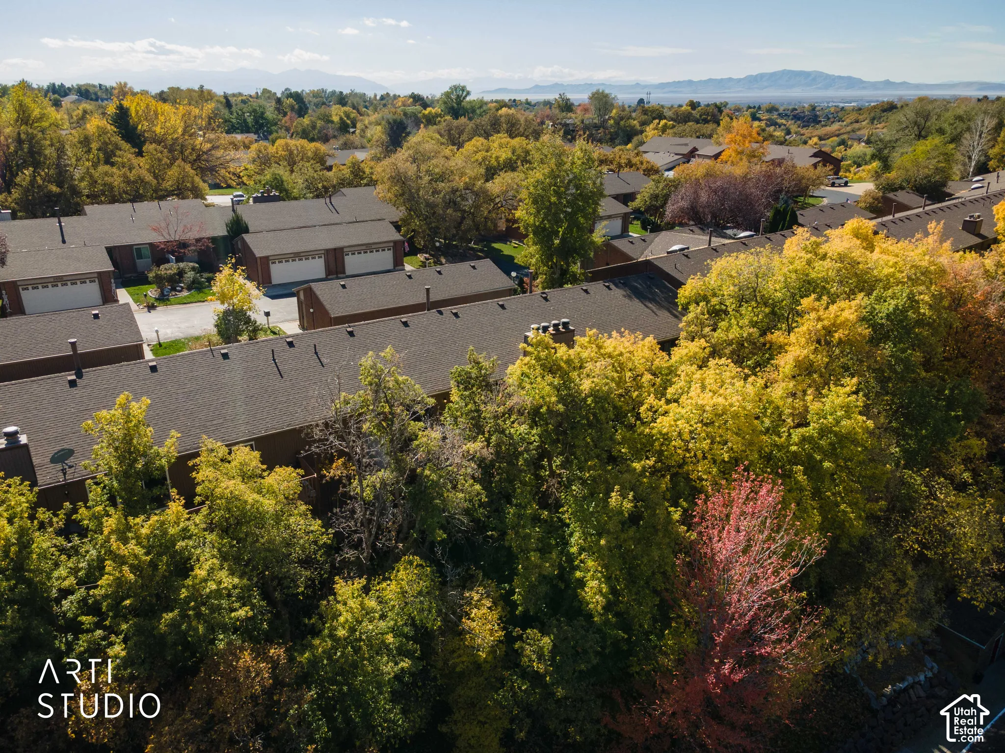 Aerial perspective of multi-family residences featuring brown shingled roofs, integrated garages, mature deciduous trees, and a mountain range backdrop
