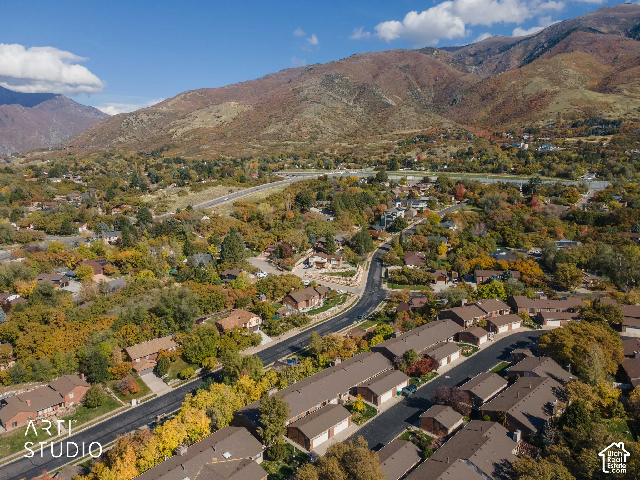 Aerial perspective featuring mountain range scenery and mature tree-lined residential surroundings