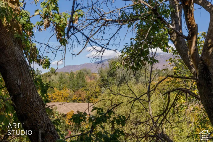 Wooded landscape featuring mature deciduous trees and a prominent mountain backdrop