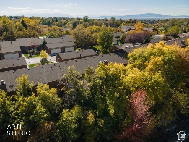 Aerial perspective of multi-family residences featuring brown shingled roofs, integrated garages, mature deciduous trees, and a mountain range backdrop