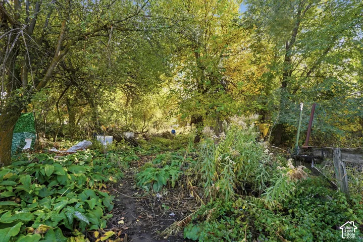 Expansive wooded grounds featuring mature trees, native vegetation, and partial wood-post fencing