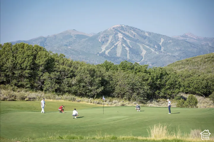 Golf course putting green featuring manicured turf and a flagstick, set against a backdrop of mature trees and mountainous terrain