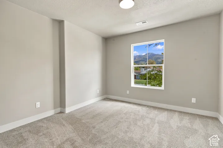 Neutral-toned interior room featuring wall-to-wall carpeting, a single-pane window, and mountain scenery