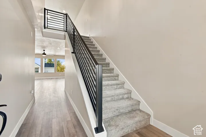 Staircase featuring a matte black horizontal-bar railing, neutral carpeting, and wood-finish flooring