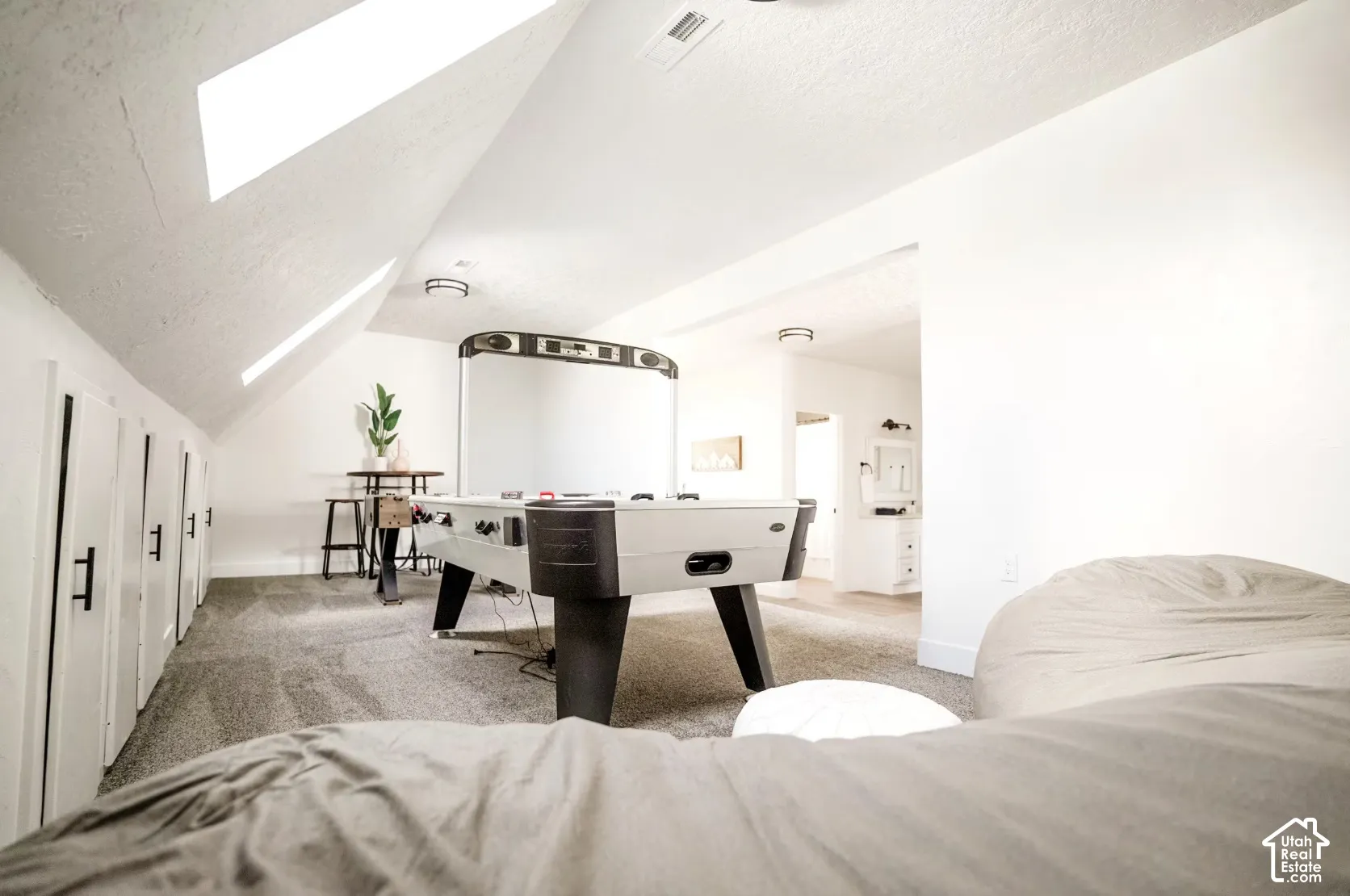 Vaulted ceilings featuring recessed skylights, carpeted flooring, and integrated wall storage with matte black hardware