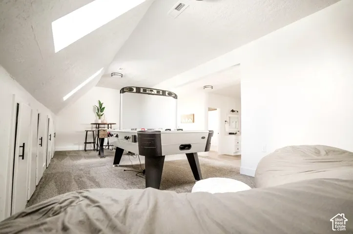 Vaulted ceilings featuring recessed skylights, carpeted flooring, and integrated wall storage with matte black hardware