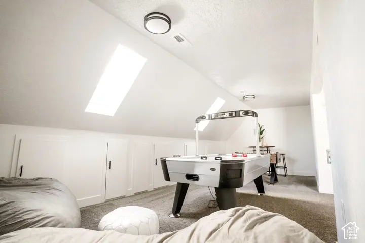 Sloped ceiling room featuring two skylights, neutral carpeting, and built-in knee-wall storage access panels with matte black hardware