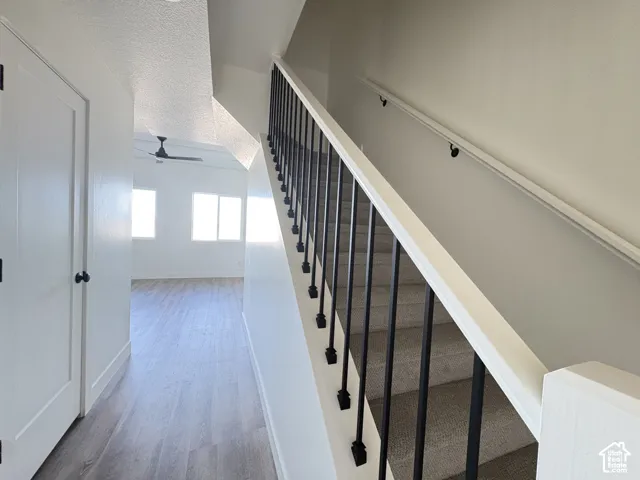 Staircase featuring a matte black iron balustrade with a white handrail, complemented by neutral carpeting and light wood-finish flooring