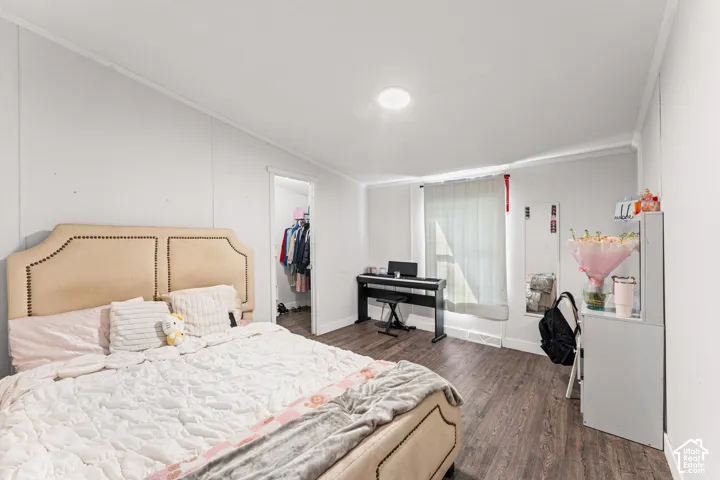 Bedroom featuring dark wood-finish flooring, a neutral color palette, a walk-in closet, and a single window with integrated window treatment