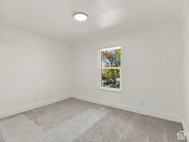 Neutral wall tones, plush wall-to-wall carpeting, and a double-pane window