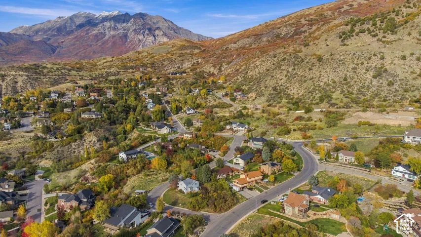 Aerial perspective featuring mountainous terrain, mature deciduous trees, and winding residential streets