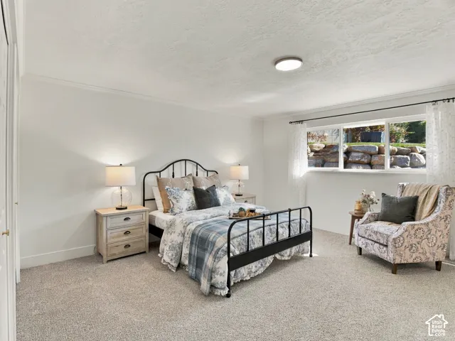 Spacious room featuring neutral carpeting, a large picture window, and a flush-mount ceiling light