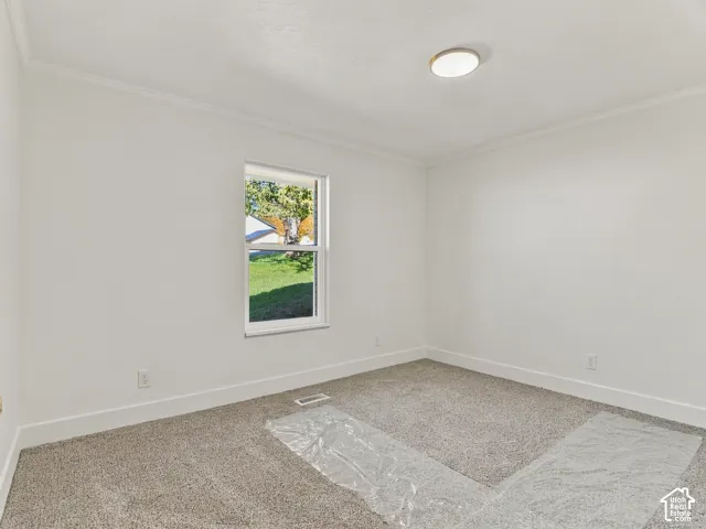 Neutral-toned interior featuring wall-to-wall carpeting, crisp white walls, crown molding, and a single-pane window