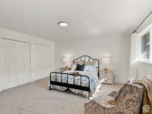 Neutral-toned carpeting, multi-panel closet doors, and crown molding