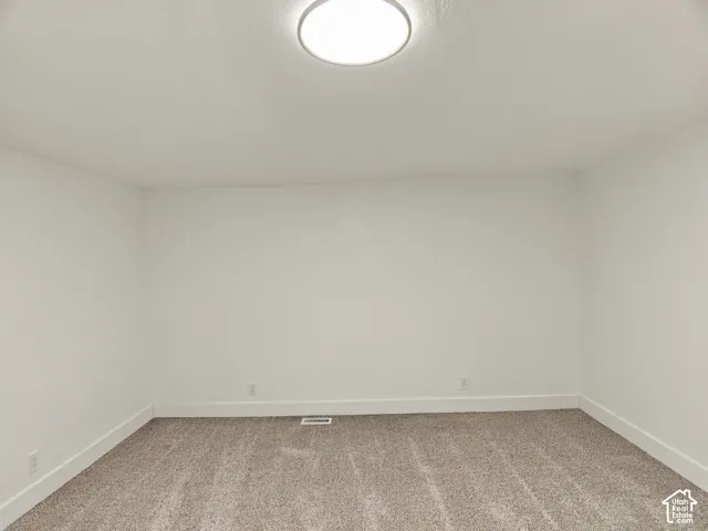 Neutral-toned wall-to-wall carpeting and a flush-mount ceiling light fixture