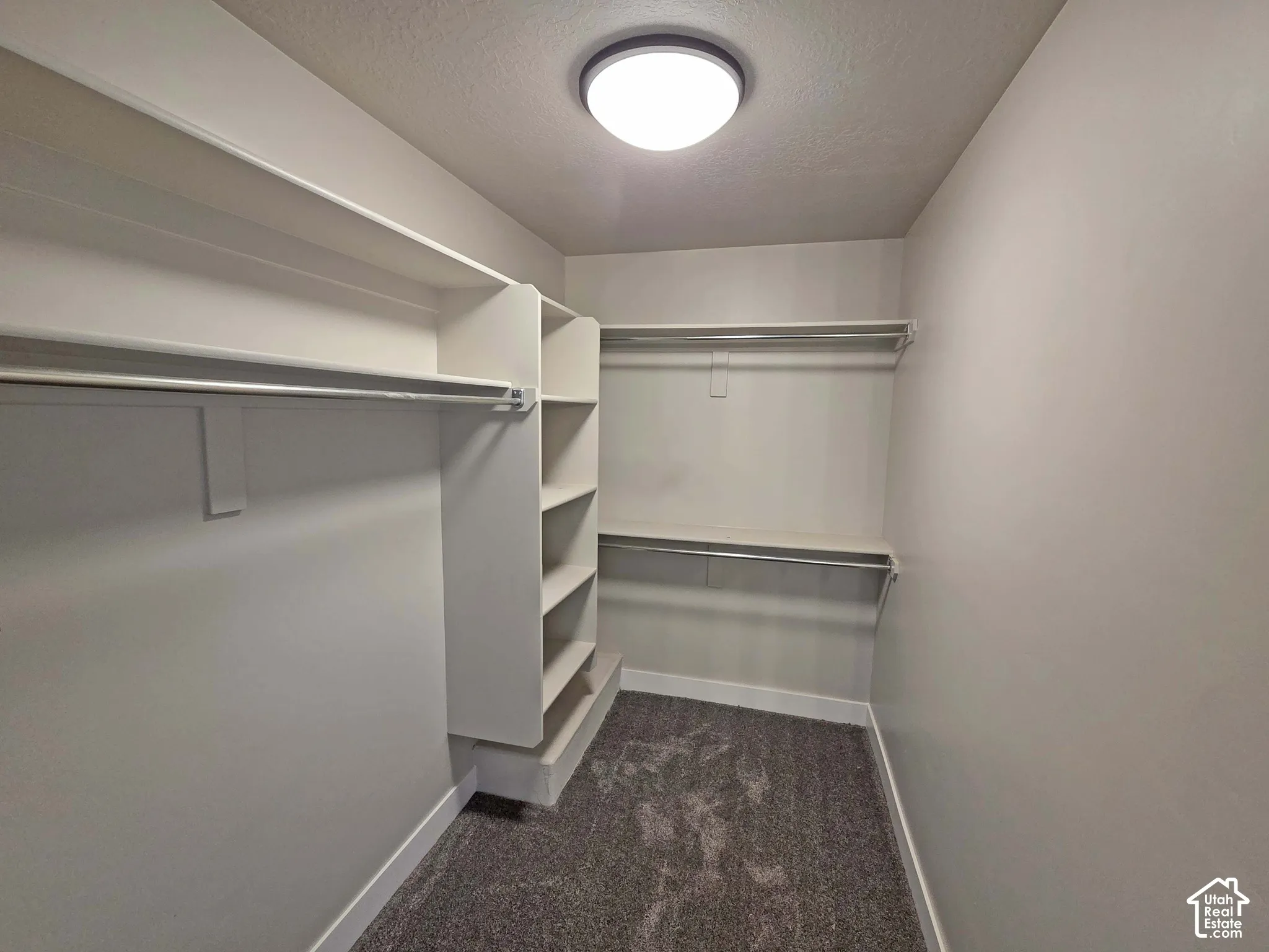 Storage area featuring custom white built-in shelving, dual hanging rods, flush-mount ceiling lighting, and carpeted flooring