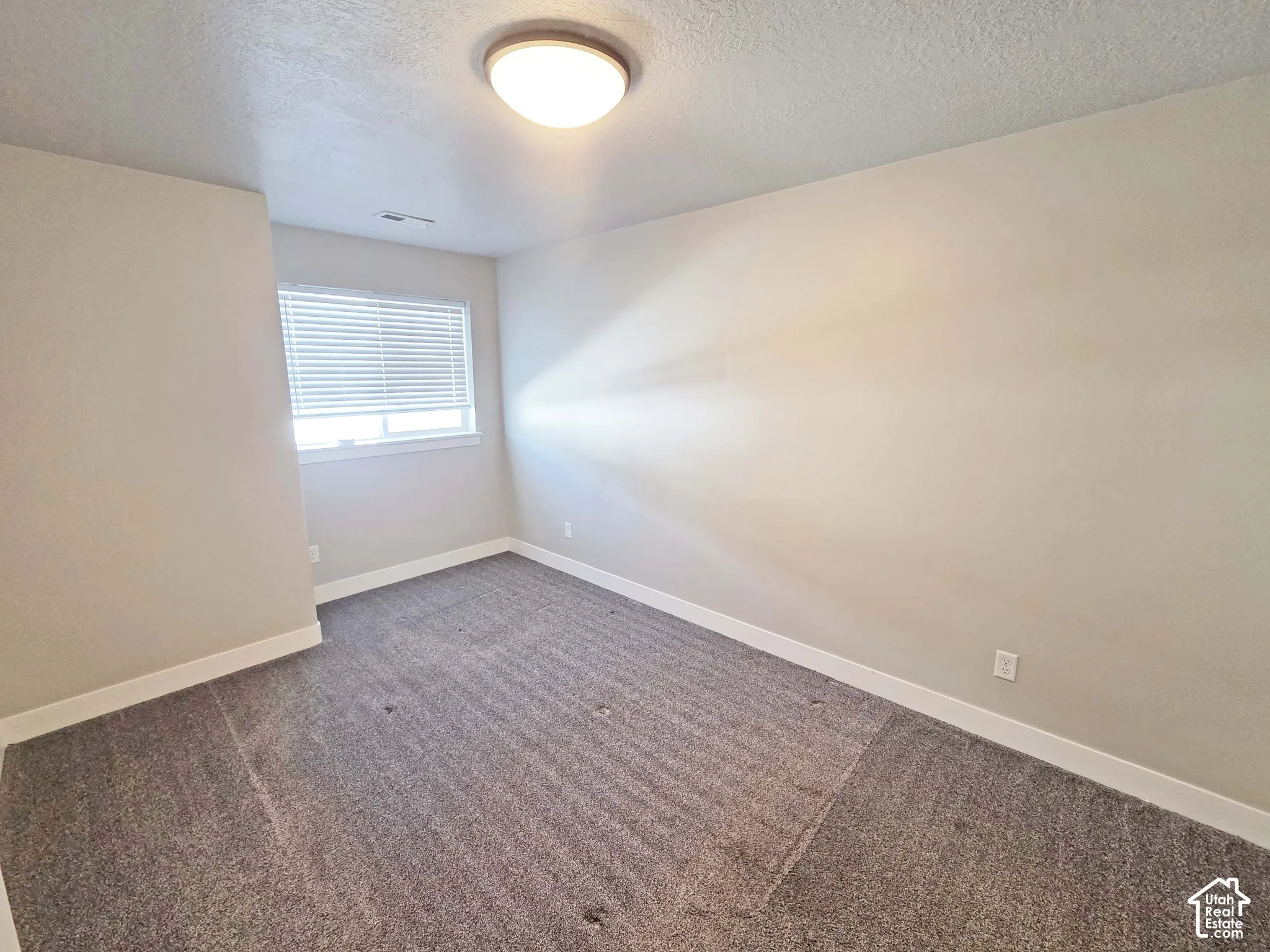 Neutral-toned interior space featuring plush carpeting, a single-pane window with installed blinds, and a central ceiling-mounted light fixture