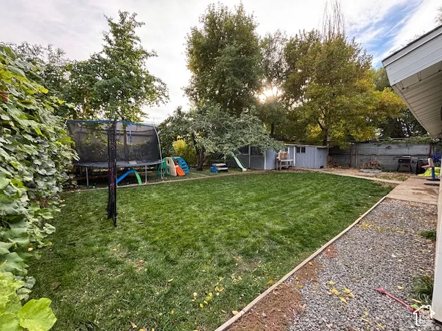 Expansive backyard featuring a manicured lawn, gravel perimeter, mature trees, and an exterior storage structure