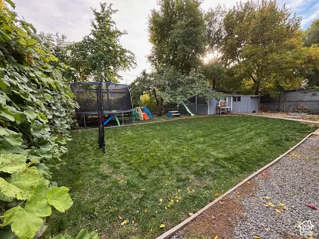Expansive backyard featuring a central grass lawn, gravel perimeter, mature trees, vine-covered perimeter fencing, and a detached storage structure