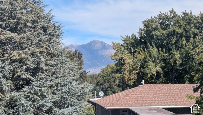 Mountain backdrop featuring mature evergreen trees and residential roofline