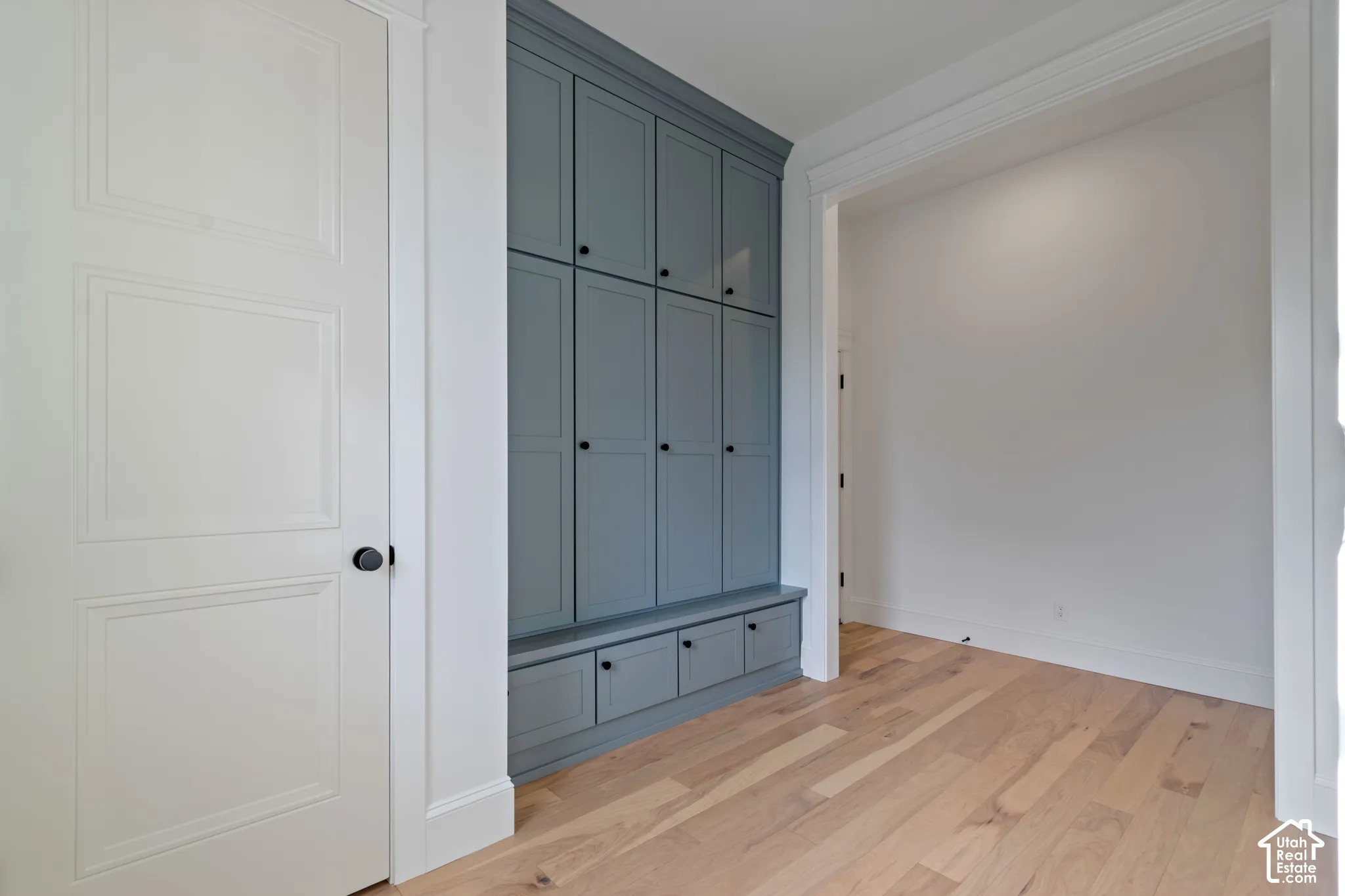 Custom floor-to-ceiling built-in cabinetry featuring a blue-grey finish, shaker-style doors, and matte black hardware, complemented by light wood-finish flooring and a three-panel solid core door