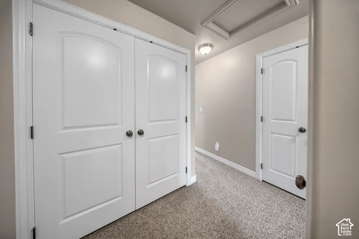Hallway featuring carpeted flooring, two-panel arched interior doors, and a ceiling-mounted light fixture.
