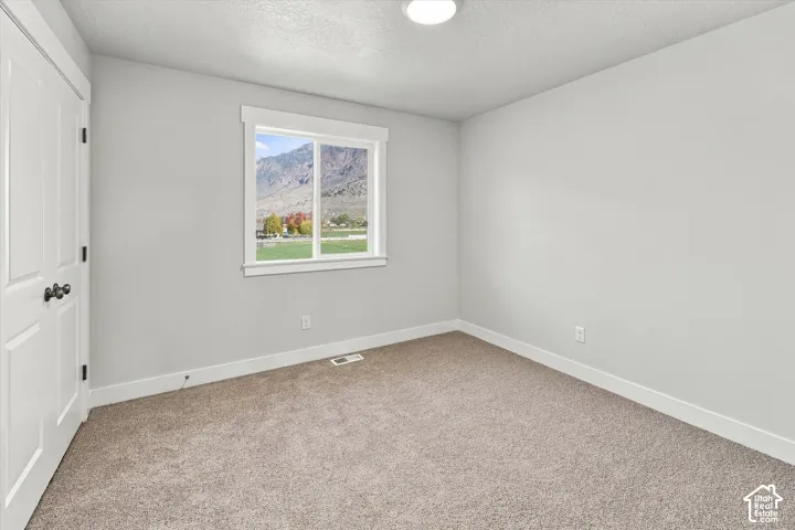Neutral interior featuring wall-to-wall carpeting, a dual-pane window with mountain scenery, white paneled closet doors, and a ceiling-mounted light fixture