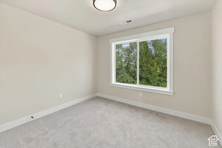 Neutral-toned interior space featuring wall-to-wall carpeting, a large sliding window with thick white casing, and a modern flush-mount ceiling light fixture