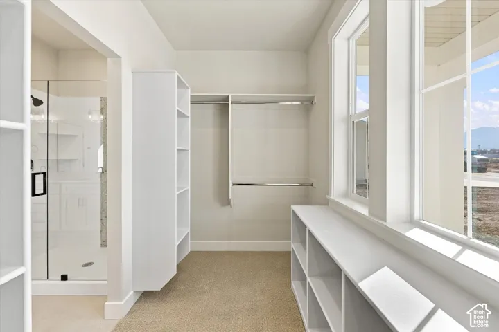 Walk-in dressing area featuring custom white built-in shelving, dual-level closet rods, large windows, and a glass-enclosed shower with tiled accents