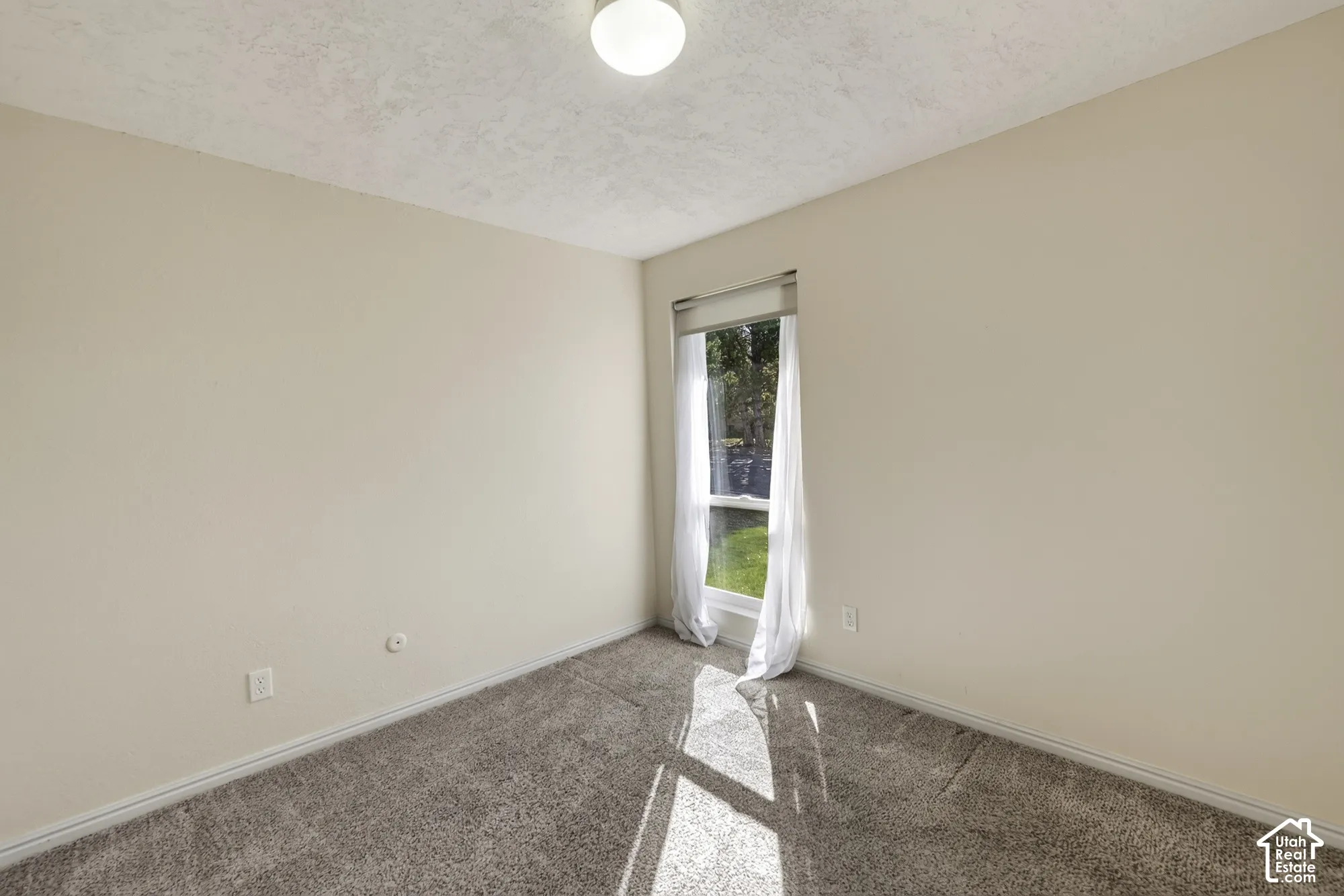 Neutral-toned walls, plush wall-to-wall carpeting, single-pane vertical window, and flush-mount ceiling lighting