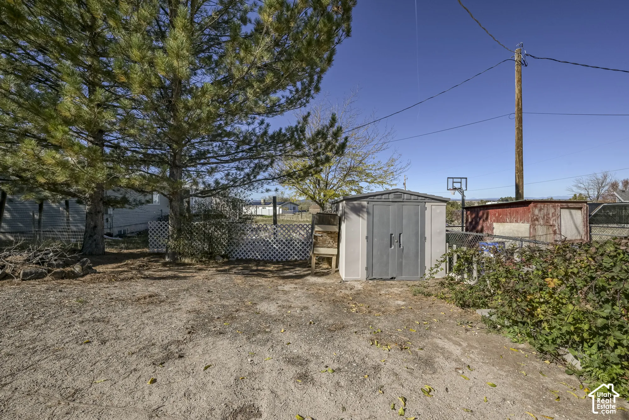 Rear yard featuring a storage shed, chain-link fencing, lattice screen, and mature pine trees