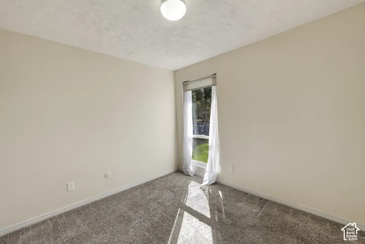 Neutral-toned walls, plush wall-to-wall carpeting, single-pane vertical window, and flush-mount ceiling lighting