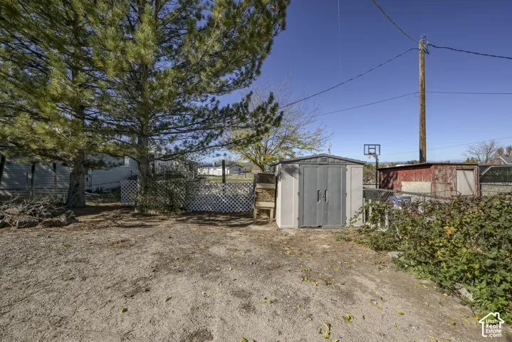 Rear yard featuring a storage shed, chain-link fencing, lattice screen, and mature pine trees