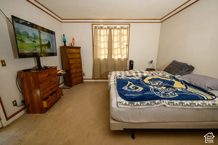 Room featuring wall-to-wall carpeting, crown molding, and a central window with paneled trim