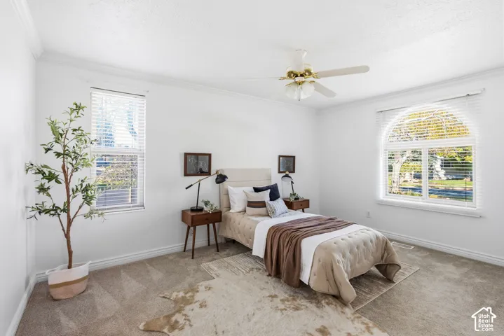 Neutral-toned interior featuring wall-to-wall carpeting, crown molding, a central ceiling fan with multi-bulb light fixture, a standard rectangular window, and an arched-top window