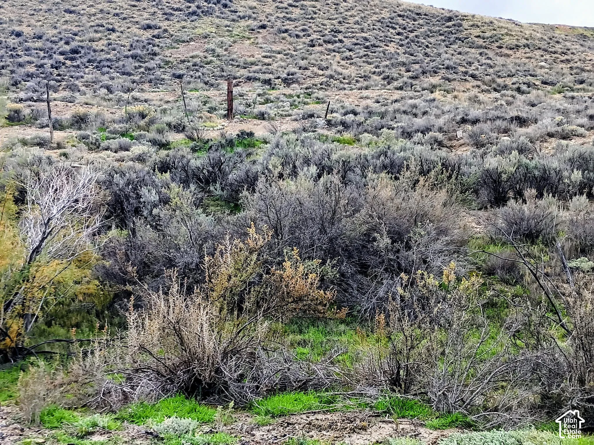 Expansive parcel featuring native sagebrush, arid terrain, and natural hillside topography